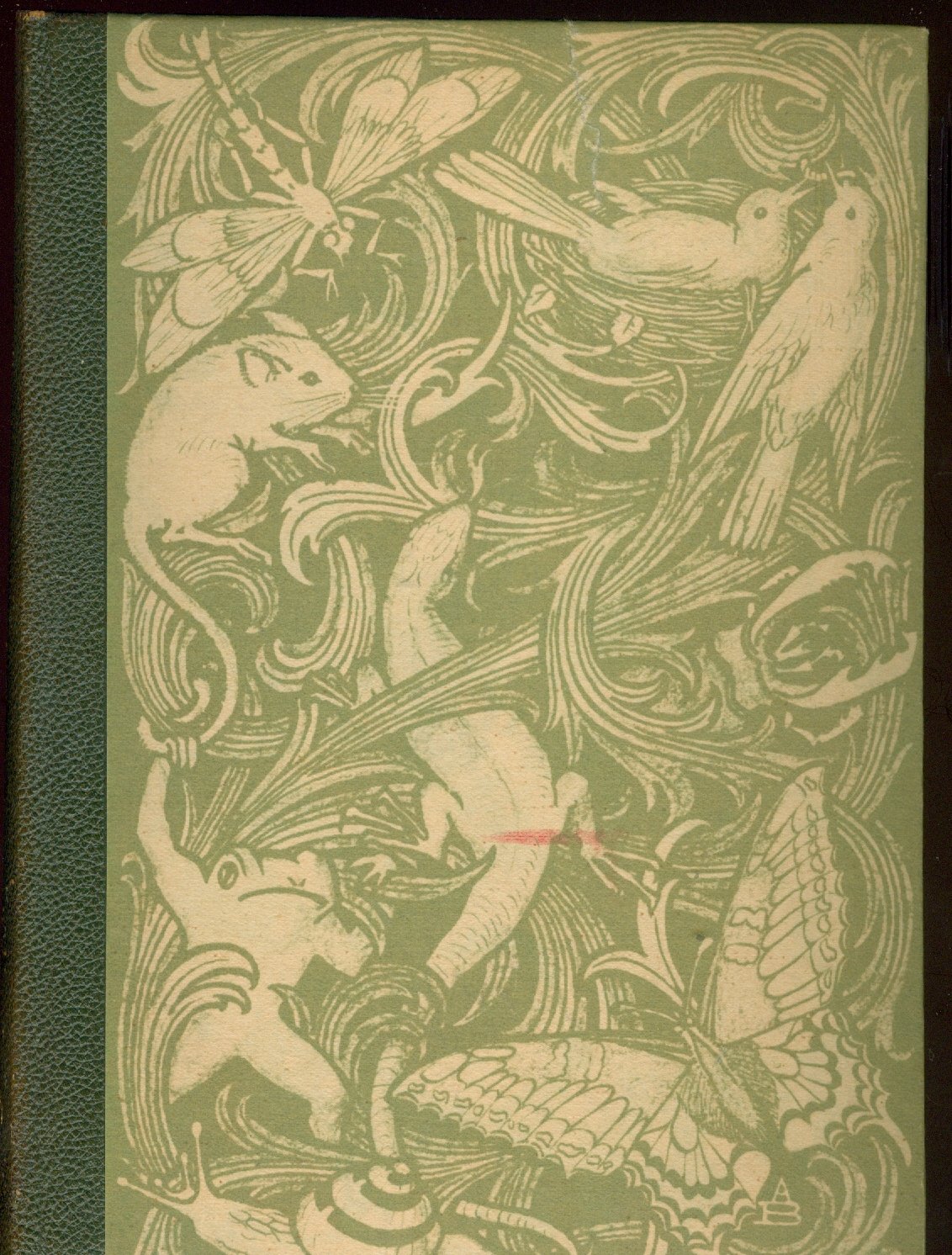 Friedrich von Lucanus: Im Zauber des Tierlebens (Hardcover, german language, 1926)