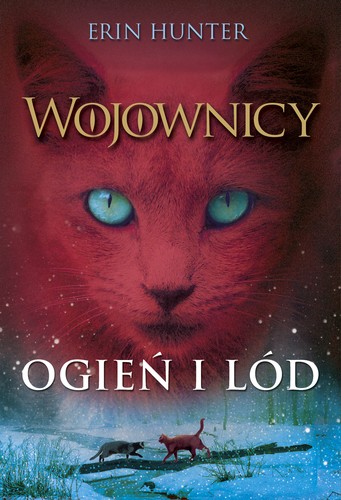 Erin Hunter, Dave Stevenson: Ogień i lód (Paperback, Polish language, 2016, Nowa Baśń)